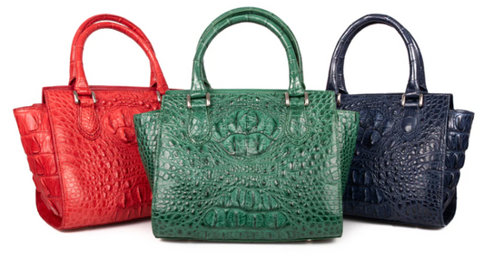Amore Crocodile Skin Handbag